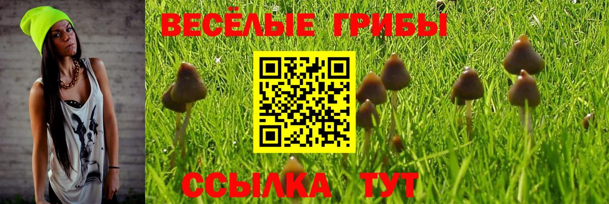 Галлюциногенные грибы прущие грибы Железноводск