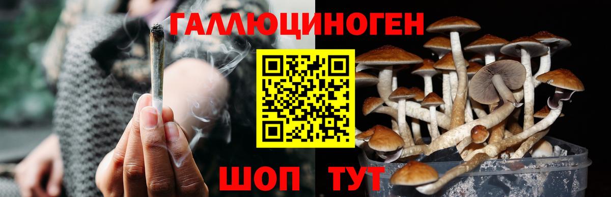 Псилоцибиновые грибы Psilocybe  Галлюциногенные грибы Psilocybe  Железноводск  Вход с VPN 